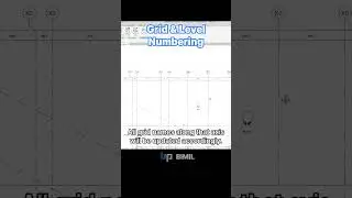 Revit Addin - Grid & Level Numbering #revit #automation #bim