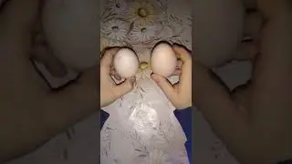 ЛАЙФХАК: Как определить варёное яйцо или сырое?