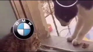 битва машин