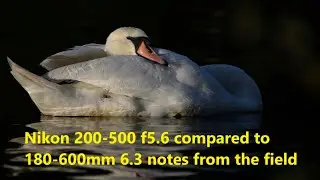 Should you get the F mount Nikon 200-500 f5.6 or the 180-600mm 6.3 Z mount?
