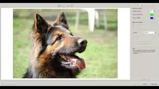 CorelDRAW/PHOTOPAINT Odstranění pozadí