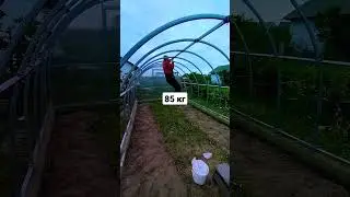 Проверяю прочность теплицы