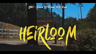 Heirloom (GH5 + Leica 12-60mm f2.8-4 Kit Lens)