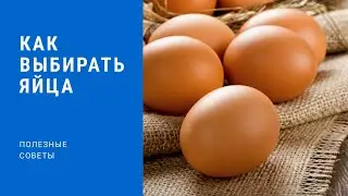 Как правильно выбрать яйца в магазине?