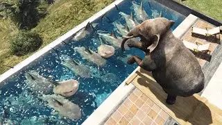 الفيل يقفز فوق أسماك القرش قراند 5 GTA V Elephant jumps over sharks