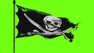 Green Background Video Flag