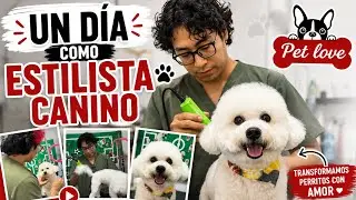 🐶 Un día en mi vida como estilista canino | Así es realmente mi trabajo ✂️ 