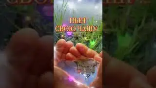 КАЖДЫЙ ИЗ НАС НА ЭТОЙ ЗЕМЛЕ ПЬЕТ СВОЮ ЧАШУ ... 