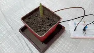 Sensor de Humedad Utilizando Transistor y Led indicador