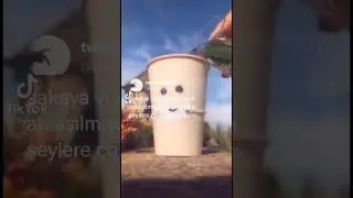 TikTok Tweet akımı 