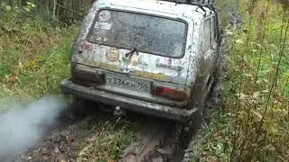 сафари 510 на стоке