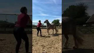New Trick