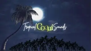 Tropical Soundscape | 1-Hour 4K | Coquí Sounds