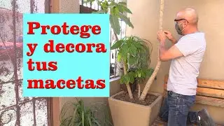 MACETAS GRANDES en EXTERIOR y DECORADAS