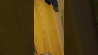 скалалаз