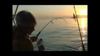 Jigging Dentex Offshore # 2