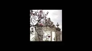 pakrov - bloom [FREE FOR NON PROFIT] Lil Peep x Lil Tracy Guitar Emotional Type Beat