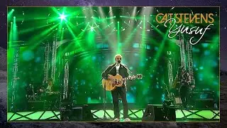 Yusuf / Cat Stevens - Oh Very Young (Viña Del Mar Festival, Chile 2015)