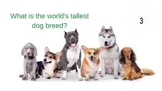 #FridayTrivia
