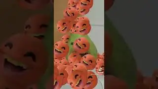 Annoying Orange YouTooz is Coming Soon!