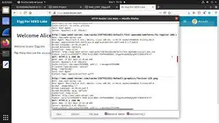 Lab08 SEED 2.0 Cross-Site Request Forgery (CSRF) Attack Lab