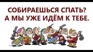 10 потрясающих фактов о гномах-хуекрадах. Гномы хуекрады