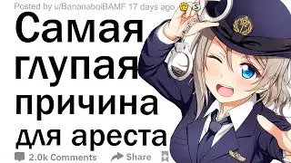 Адвокаты и сотрудники полиции, по какой самой глупой причине кого то арестовали?