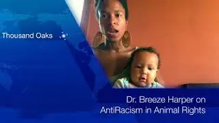 A commitment to AntiRacism in animal rights