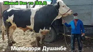 Букаи Калон 1000 кг Молбозори Душанбе то букача  31 марта 2022 г.