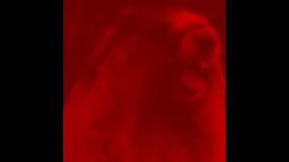 YTP|SCREAMING MARMOT goes protoni