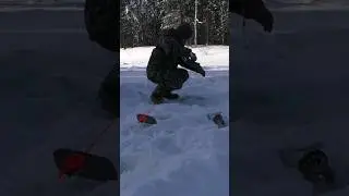 ВОТ ЭТО МОРДА😯🎣🐬 