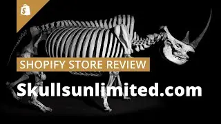 TOP Shopify store to get you inspired: skullsunlimited.com