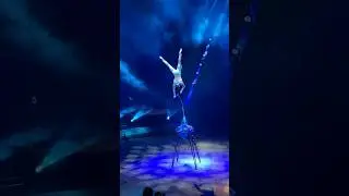 Красимир Васов. Эквилибр на руках. Идол-2024