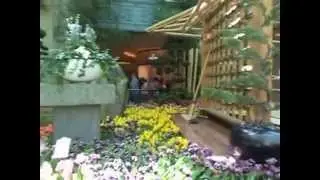 Bellagio jardin japones