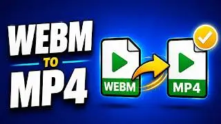 How to Convert WEBM to MP4 (Complete Guide)