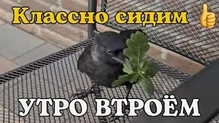 КЛАССНО СИДИМ👍/день 24й/ 