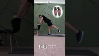 Тренировка для новичков