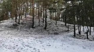 15 марта