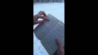 Патрон IGLA Единица Резкость Мр 155 35м Progress 1.0