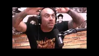 Joe Rogan Watches Mcgregor Light Up Malignaggi & Nate Diaz Trilogy