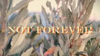 AK - Not Forever