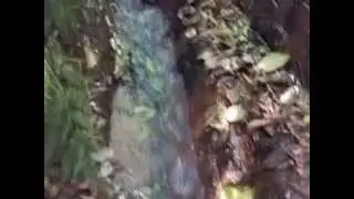 salto del guaira nascente da rancho alegre