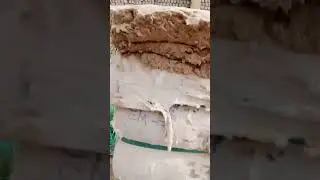 Пыль хлопковая. 100 тонн