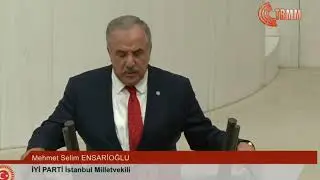 Mehmet Selim Ensarioğlu - İyi Parti İstanbul Milletvekili Yemin Konuşması