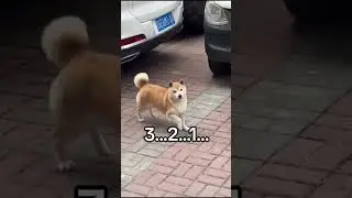 Как прошла ваша пасха?)
