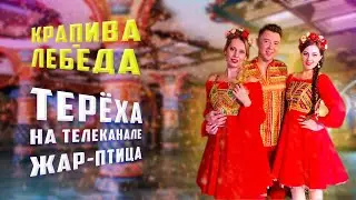Терёха на канале Жар Птица - Крапива-лебеда