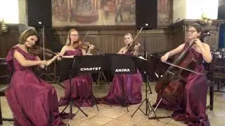 Cooley's Reel - Cvartet Anima - Irish Music