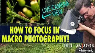 How To Focus In Macro Photography - Tutorial with Live Camera View - Old Man Jacob Photography