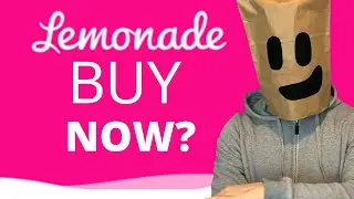 BUY LEMONADE BEFORE OR AFTER Q1 EARNINGS? A long term investor's perspective (LMND)