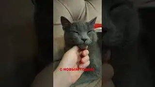 С новым годом